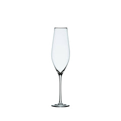 Cabernet Champagne Glass (Set of 6)