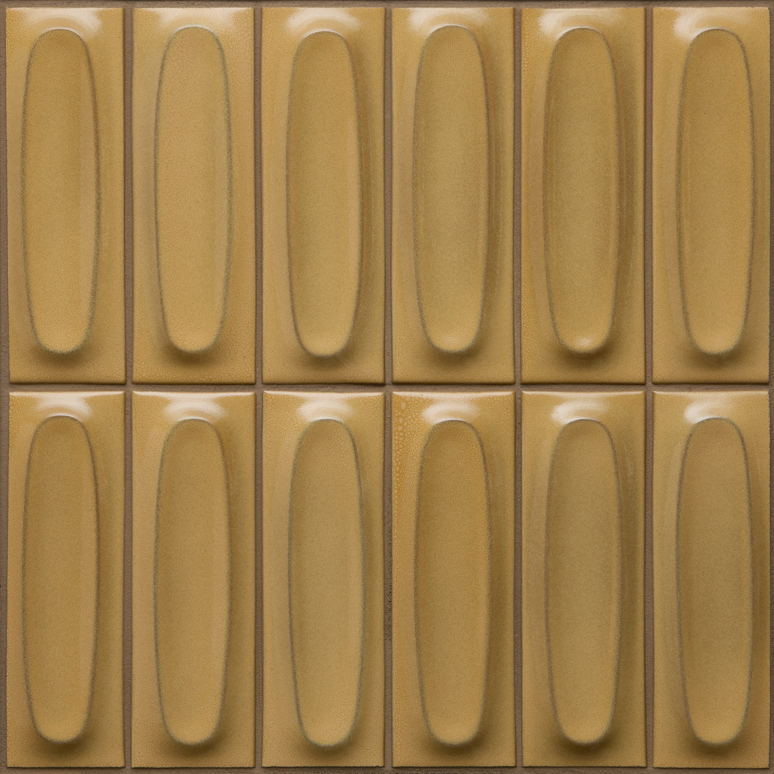 G142 Sample in Mustard Seed