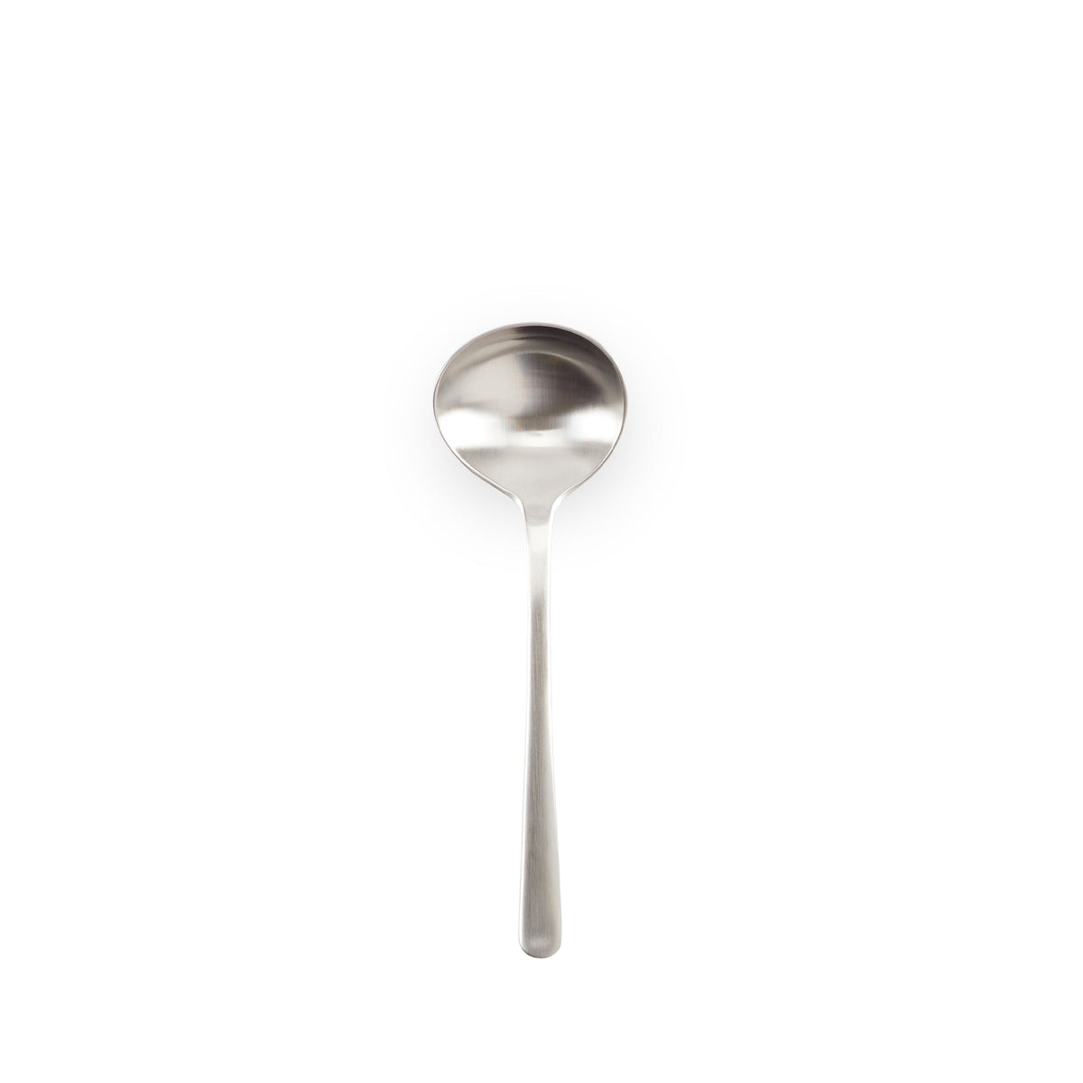 Stainless Steel Dressing Spoon