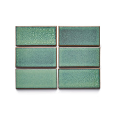 LG8 Sample in Manzanita